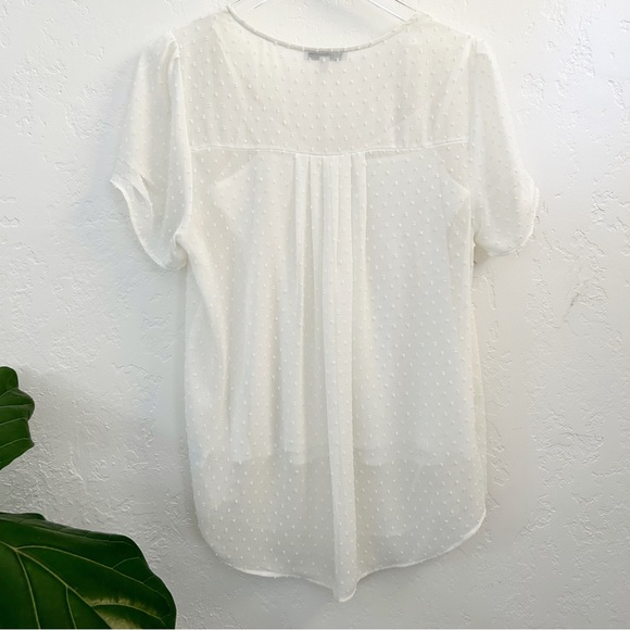 Nordstrom DR2 Women’s White Swiss Dot Blouse Top Size M - Picture 6 of 9